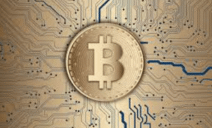 How Cryptocurrency Is Used in the Creator Economy